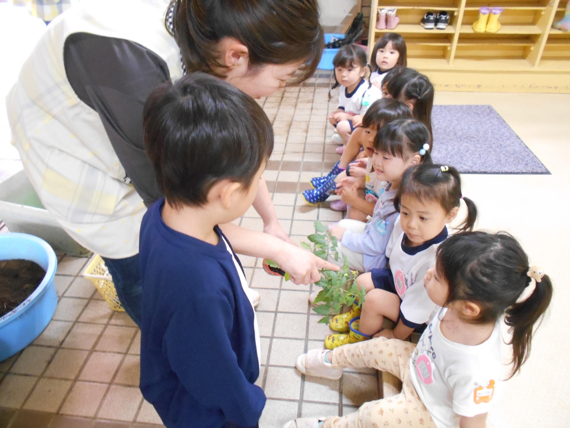 年少　栽培　~夏野菜の苗植え~