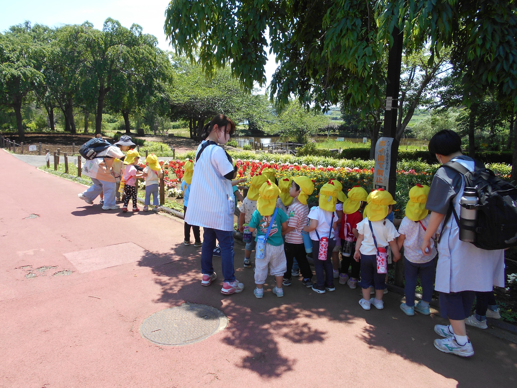 年少　園外保育　北柏ふるさと公園