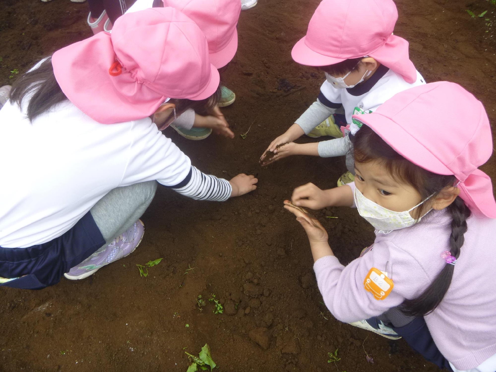 年長組　どろんこ農園～畑づくり～