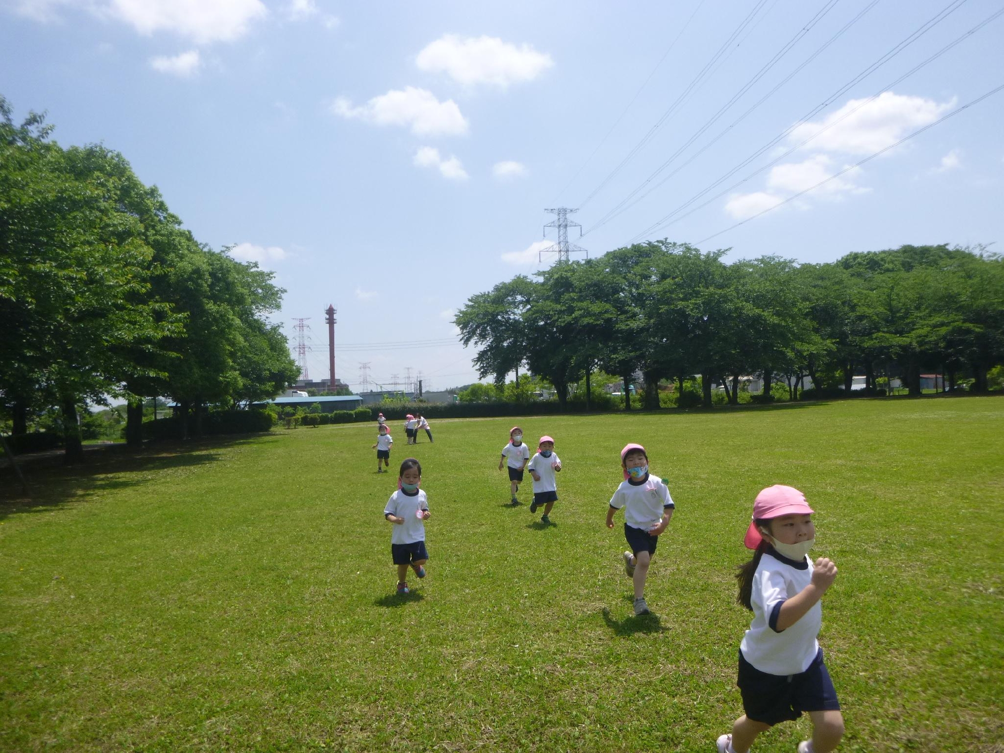 年中組　園外保育（柏ふるさと公園・いも苗植え）