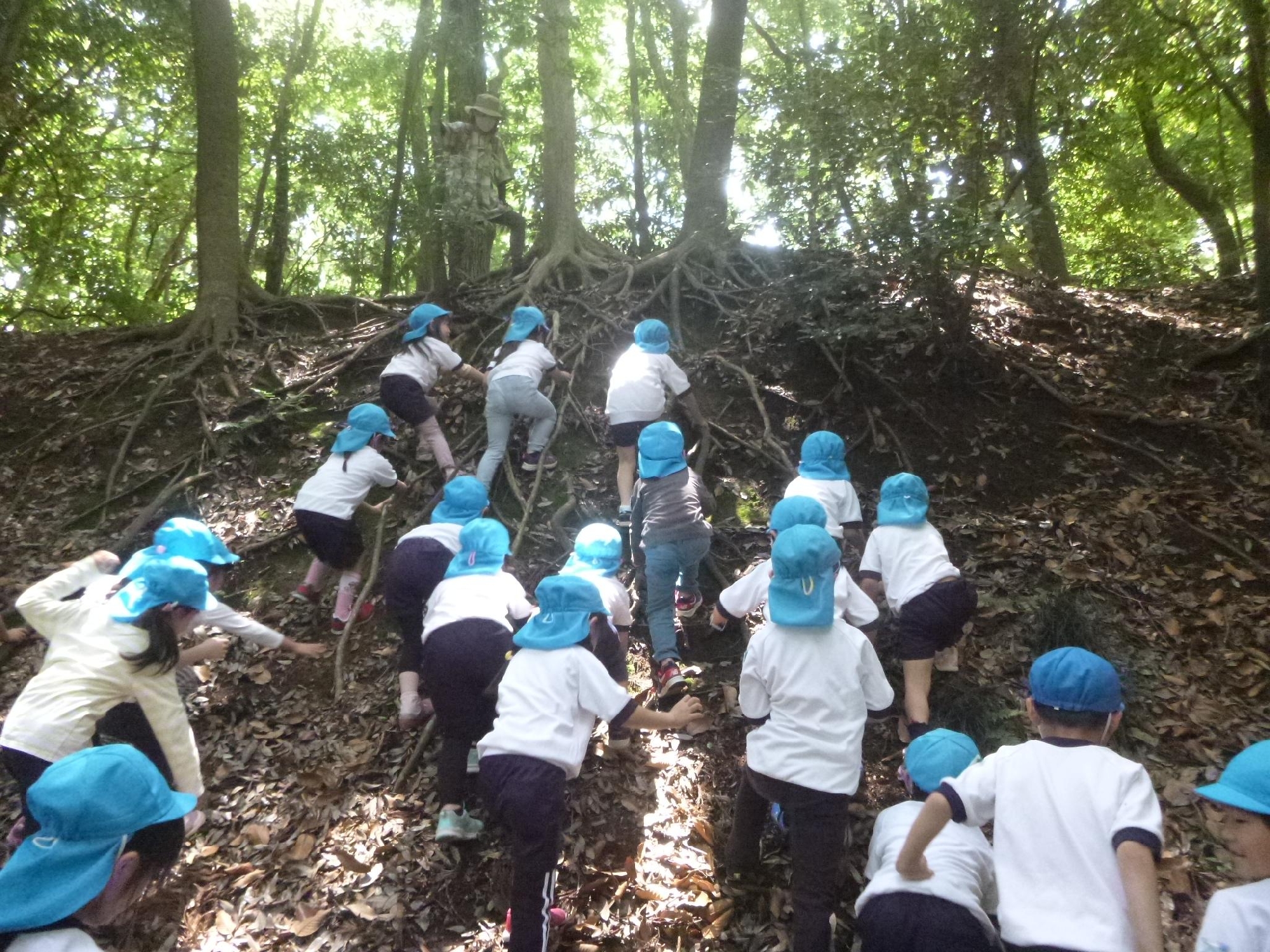 年長組　増尾城址公園