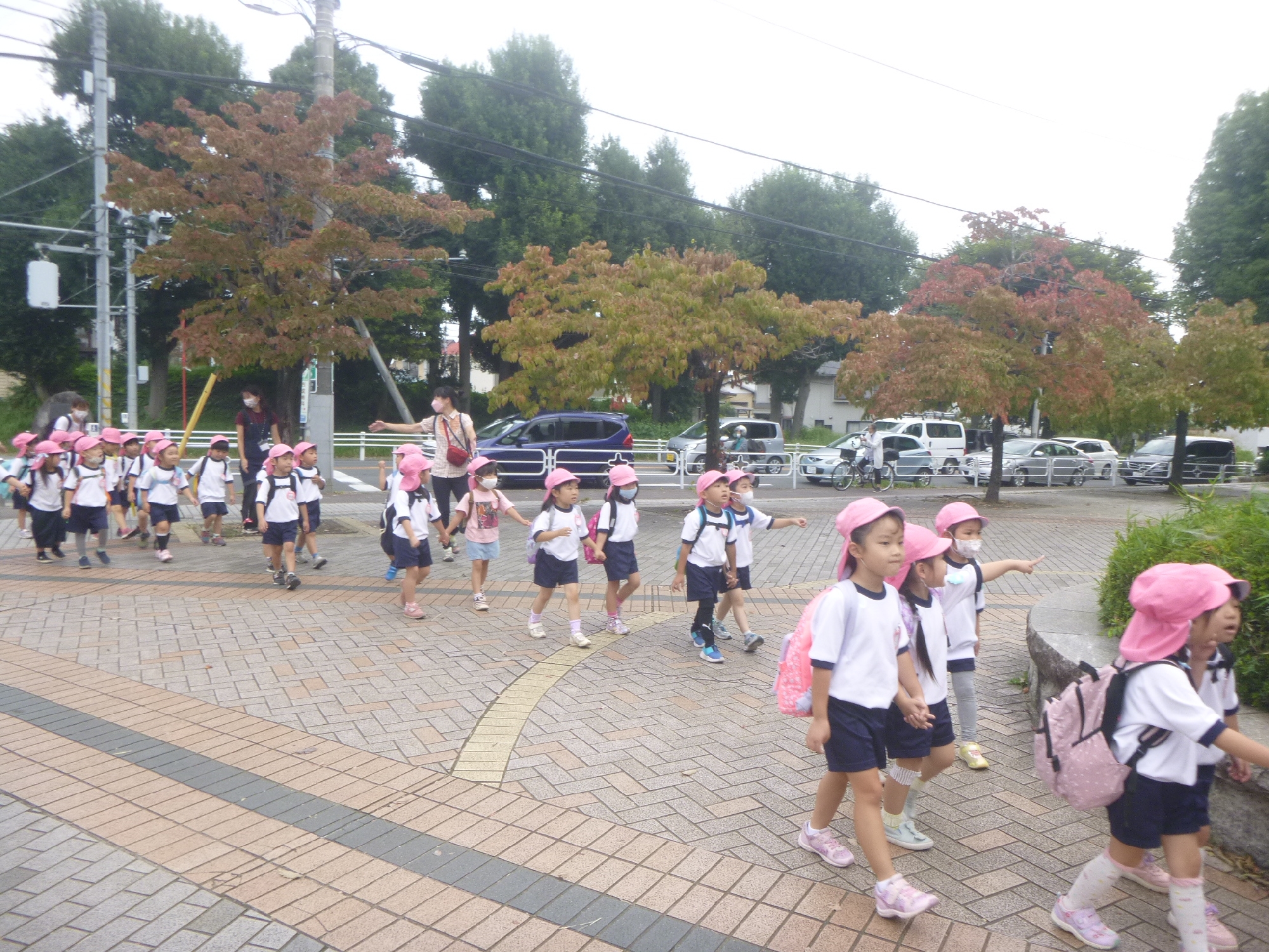 年中組　日立台公園