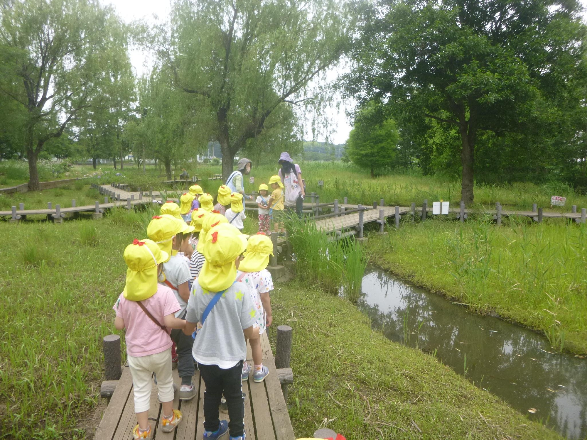 年少組　園外保育「北柏ふるさと公園」