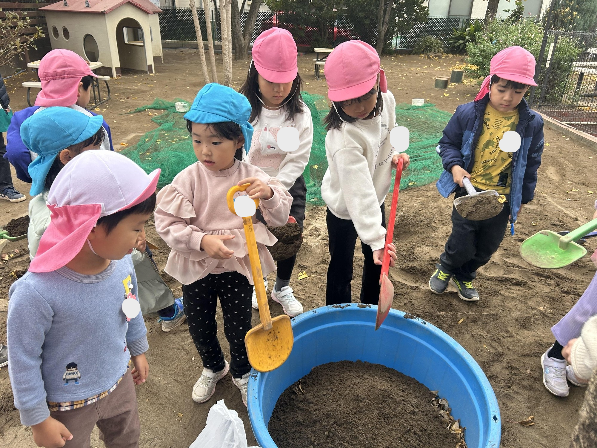 かめのけんちゃん、げんちゃん冬眠しました！