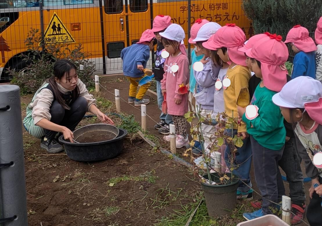 年少組　春咲きの花～チューリップ・クリサンセマム～